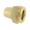 04-33208-000 FTG-SV246 NG12,1/2"MPT,BRASS