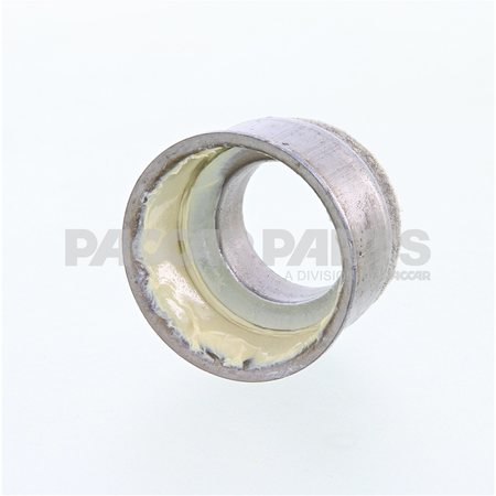 066983P BEARING-PACKAGED       DR