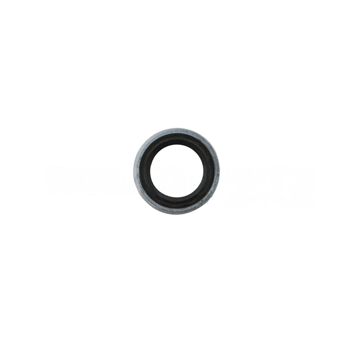 1000309831BSM WasherStatOSeal 12