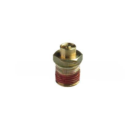 131081BXW KitSafety Valve