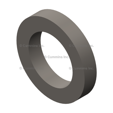 151900 SEAL,RECTANGULAR RING