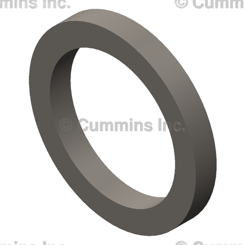 154087 SEAL,RECTANGULAR RING
