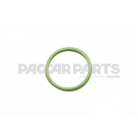 1608393PE RingSealing