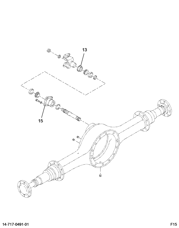 1665333C91 AXLE,KIT DIFF BRG/SEAL