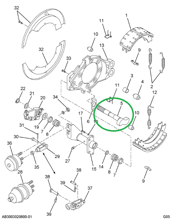1695421C1 Camshaft, Brake, Rh (used On B