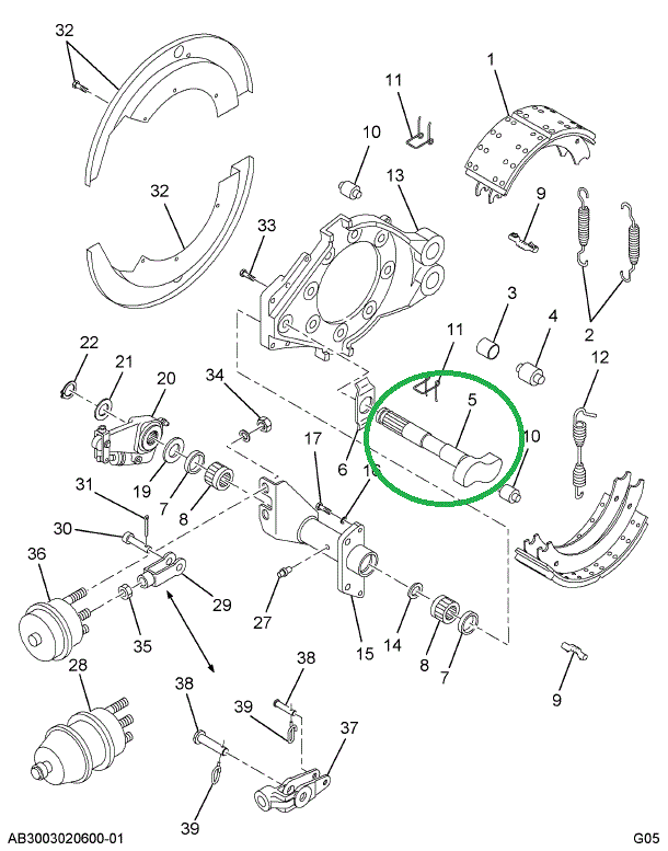 1695492C1 Camshaft, Brake s Cam Right, R