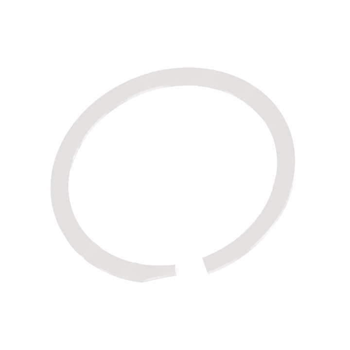 18-38779-000 RETAINING RING-INTERNA