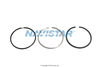 1825461C92 PACKAGE PISTON RING