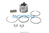 1830953C92 PACKAGE,KIT PISTON PIN RINGS S