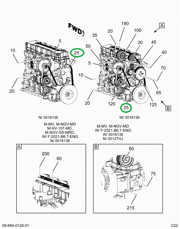 1842598C1 BELT 8PK. 79.49