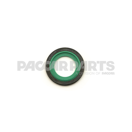 1858039PE Seal 134X240X15Mm
