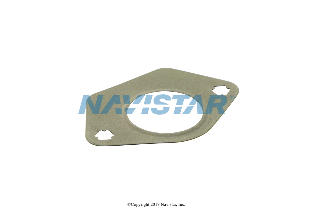 1877823C1 GASKET SINGLE PORT