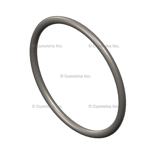 193736 SEAL,INJECTOR O RING