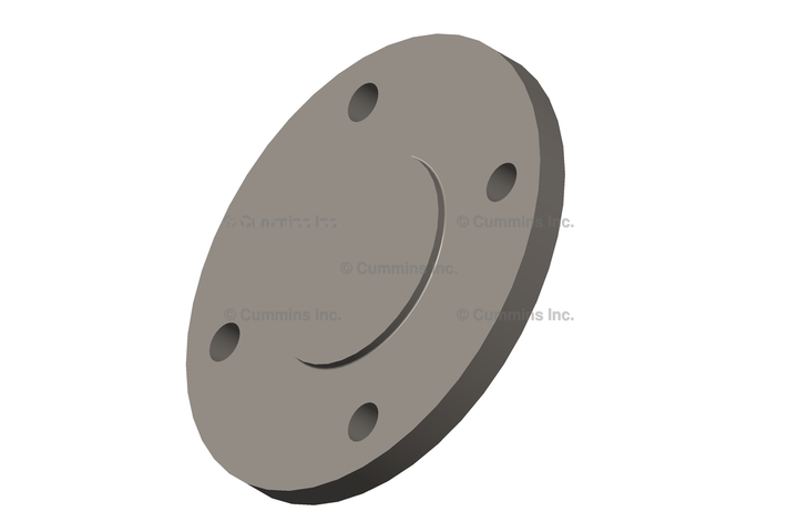 196057 DISC,VALVE