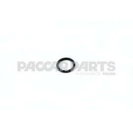 1974191PE ORing126X2