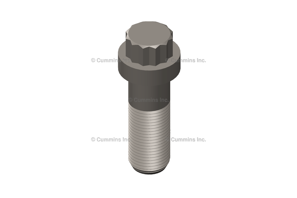 202159 SCREW,TWELVE POINT CAP