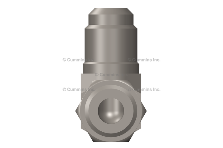 217196 VALVE,CHECK