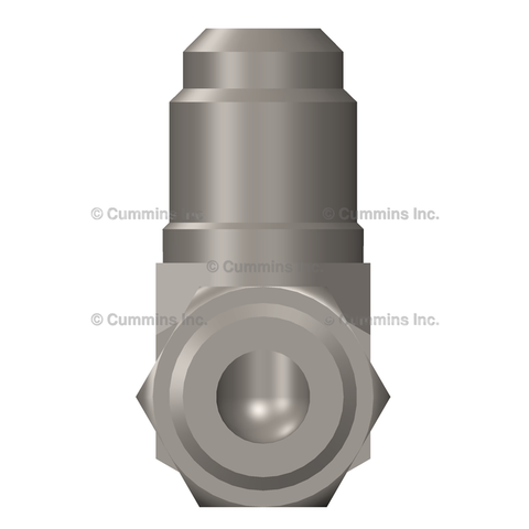 217196 VALVE,CHECK