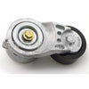 2234864PE TensionerV Belt