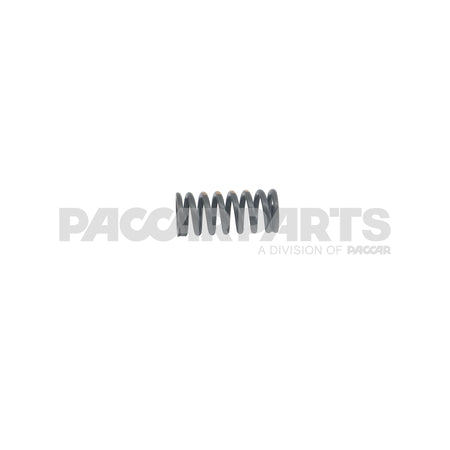 2264673PE Valve Spring Engine