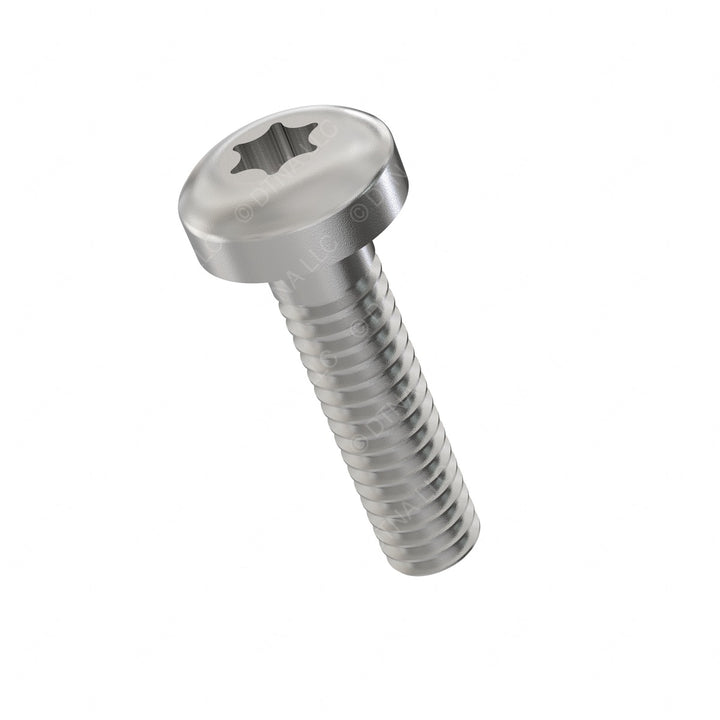 23-13245-704 SCREW