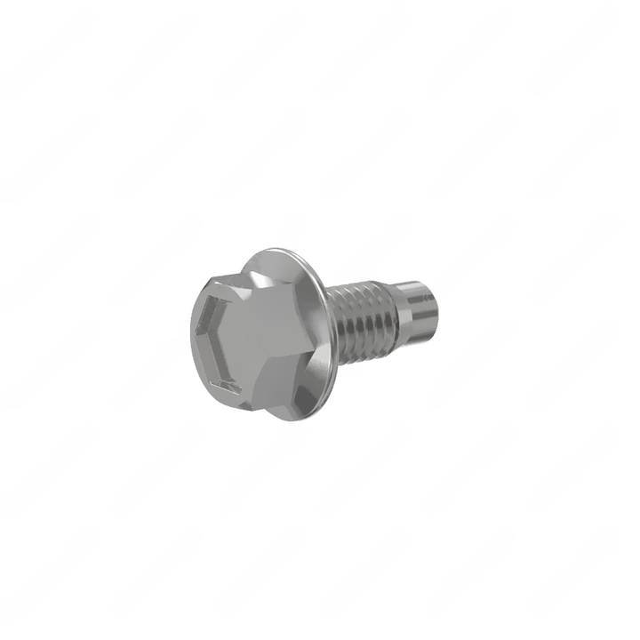 23-14441-000 BOLT-HEXFLGH,M10X1.5,SPECIAL