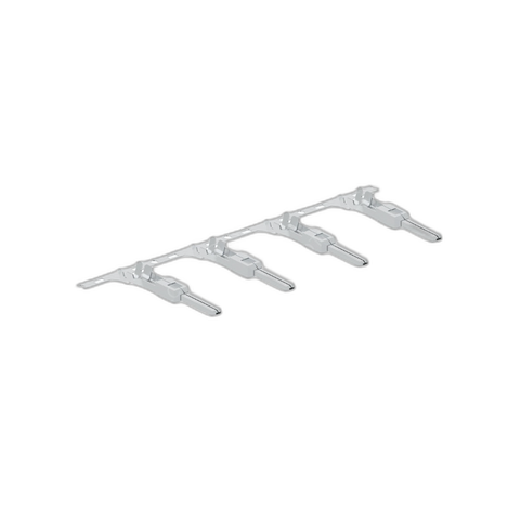 23-14500-021 TERM-MALE,PP15 45,1-3