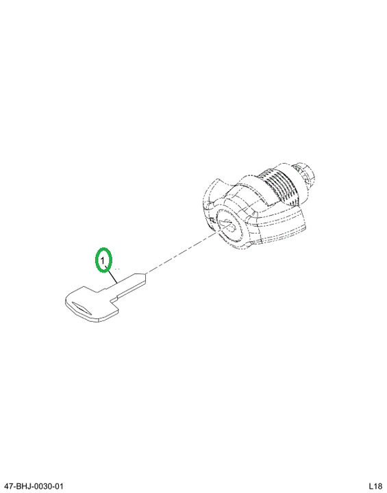 2520329C1 KEY, VANDAL LOCK R001 FLAT MET
