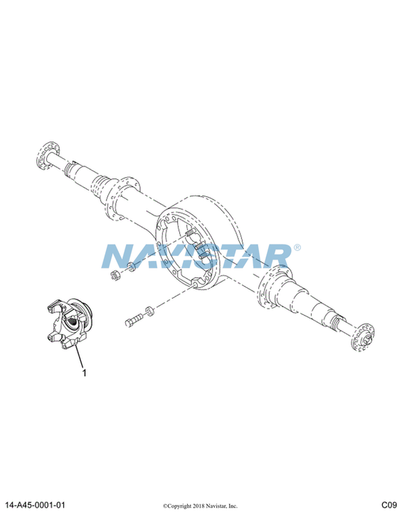 2603017C1 FLANGE TRUNN SPL170