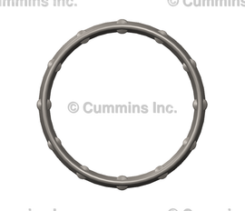 2865048 SEAL,D RING