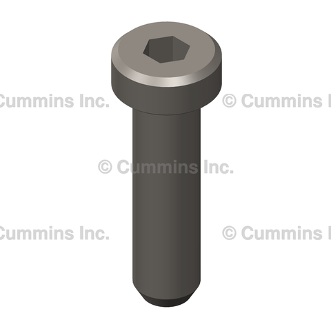 3025806 SCREW,SOCKET HEAD CAP