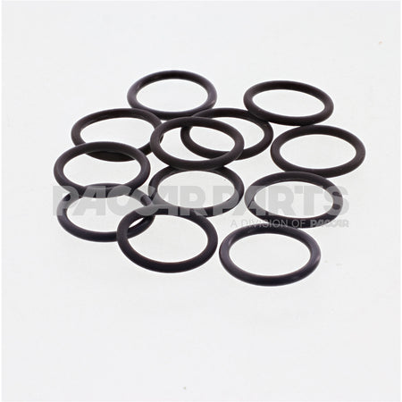 3046201CUM SealO Ring