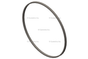 3054947 RingLiner Seal