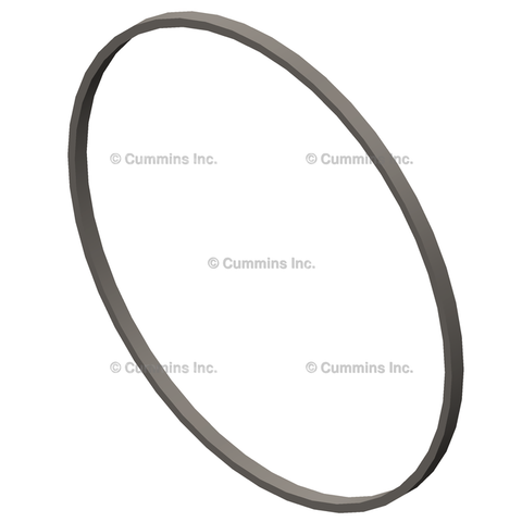 3054947 RingLiner Seal