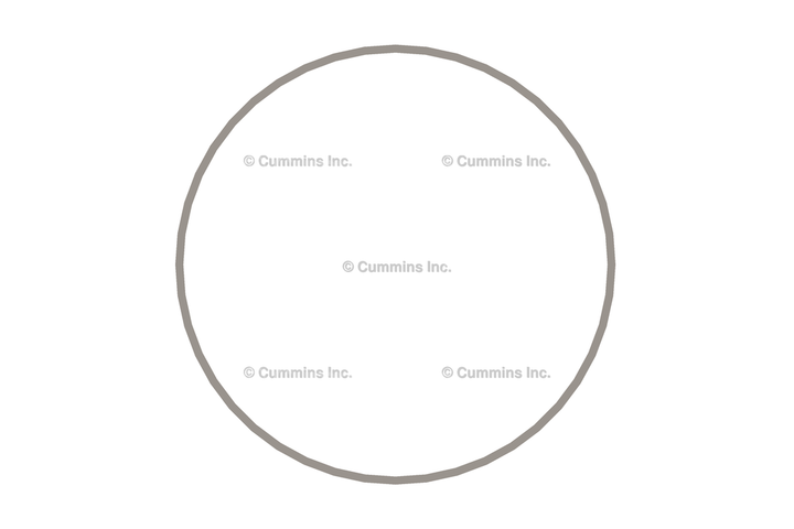 3054947 RingLiner Seal
