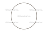 3054949 RING,LINER SEAL