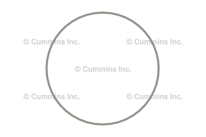 3054949 RING,LINER SEAL