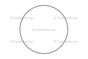 3054949 RING,LINER SEAL