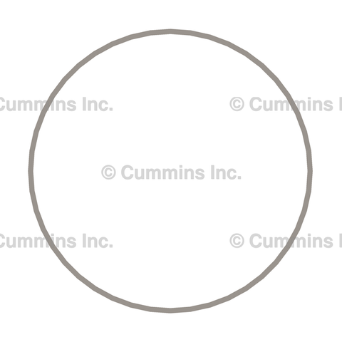 3054949 RING,LINER SEAL