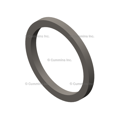 3072375 SEAL,RECTANGULAR RING