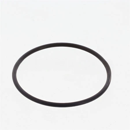 3089025CUM SealO Ring