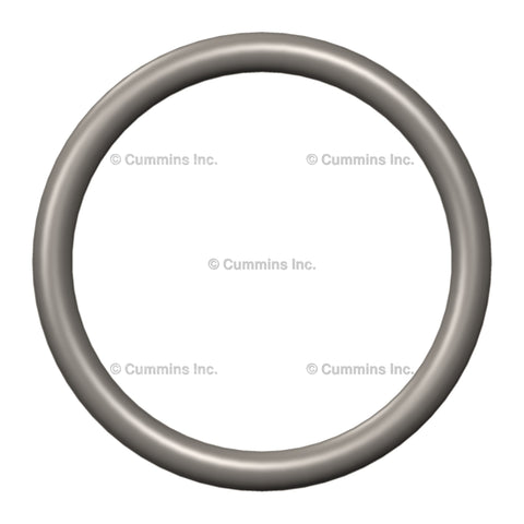 3089392 SEAL,O RING IMage 1