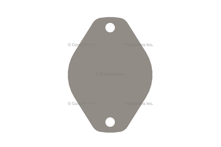 3166307 GASKET,HYDRAULIC PUMP