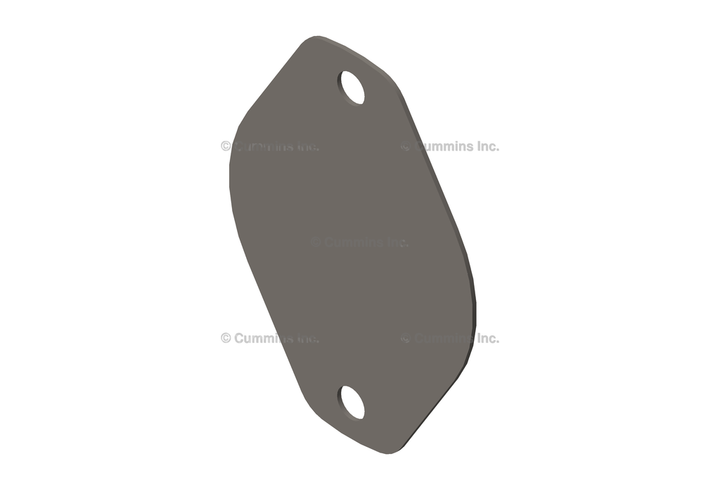 3166307 GASKET,HYDRAULIC PUMP