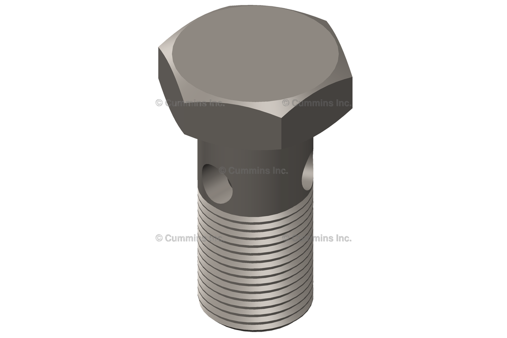 3682414 SCREW,BANJO CONNECTOR