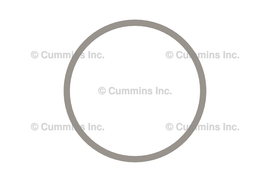 3685234 SEAL,RECTANGULAR RING