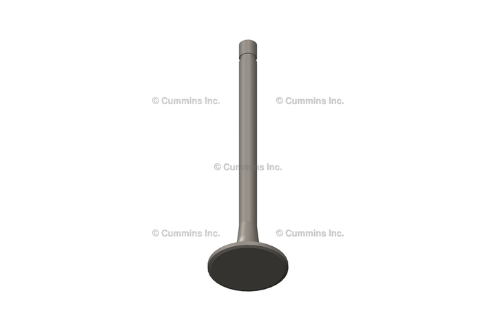 3686661 ValveExhaust
