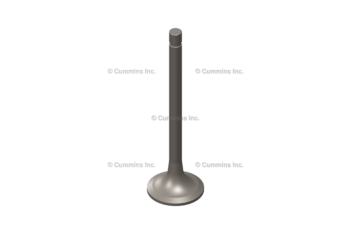 3686661 ValveExhaust