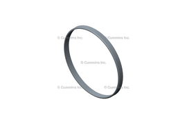 3689871 RING,ANTIPOLISHIN