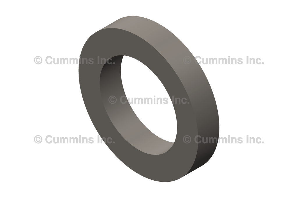 3883510 SEAL,RECTANGULAR RING